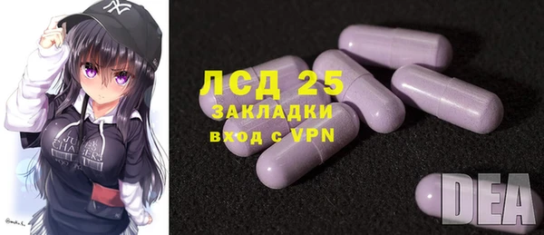 шишки Богородицк