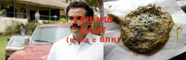 шишки Богородицк