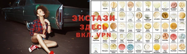 стаф Богданович