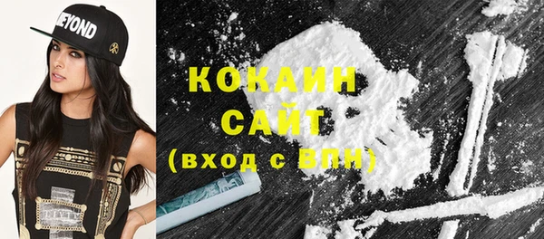стаф Богданович