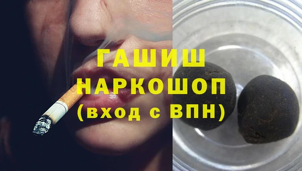стаф Богданович