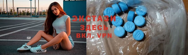 шишки Богородицк