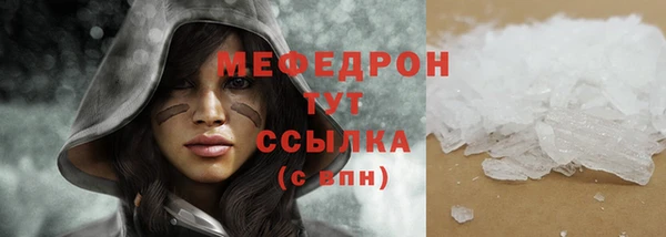 стаф Богданович
