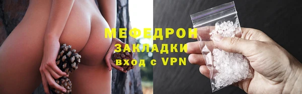 шишки Богородицк