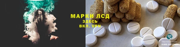 стаф Богданович