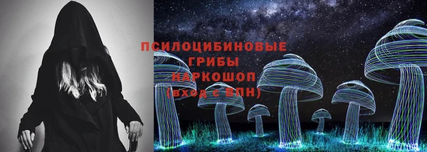 шишки Богородицк