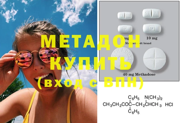 стаф Богданович