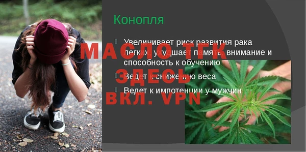 стаф Богданович