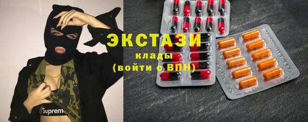 стаф Богданович