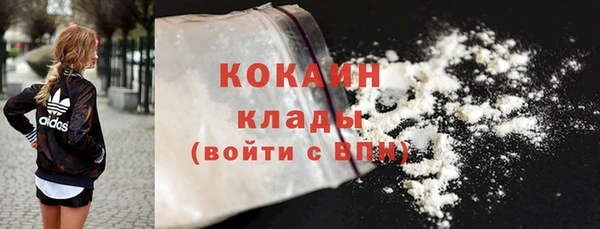 стаф Богданович
