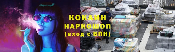 стаф Богданович