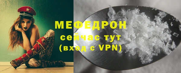 стаф Богданович